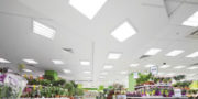 Ledplus