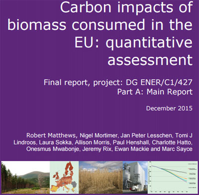biomasa informe