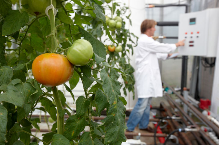 KEIKER-Tecnalia, novedoso sistema de climatización de laboratorios de investigación agraria con mix de energías renovables.