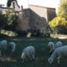 Subvenciones para Instalaciones Térmicas con Biomasa en los Parques Naturales de Barcelona