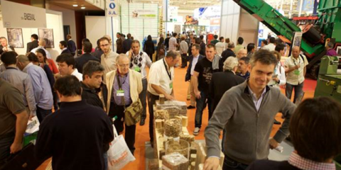 Abierto el plazo de acreditación de profesionales para Expobiomasa 2017