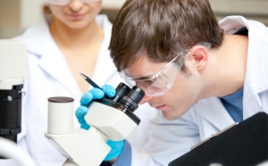 Investigador. Becas. Iberdrola.