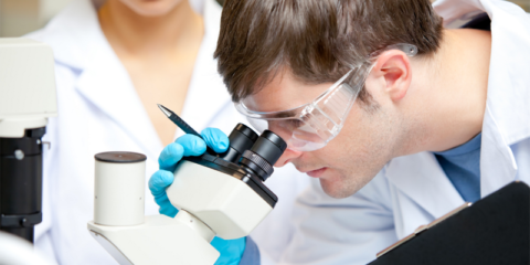 Iberdrola convoca becas para formación e investigación en Energías Limpias