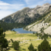 FEDER concede 1,8 millones para proyectos municipales de Biomasa Forestal en el Pirineo de Lérida