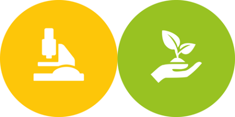 Segunda convocatoria Interreg Sudoe para proyectos de Investigación y Medio Ambiente