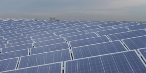 Chicago abastecerá sus edificios públicos con Energía 100% Renovable en 2025