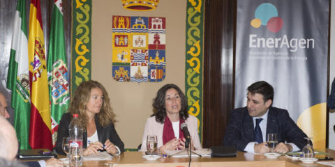 EnerAgen tendrá dos nuevos grupos de trabajo de Luminarias y Uso Térmico de Energías Renovables