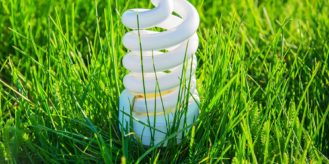 Los gestores RAEE de iluminación celebran los requisitos mínimos para la Responsabilidad Ampliada del Productor