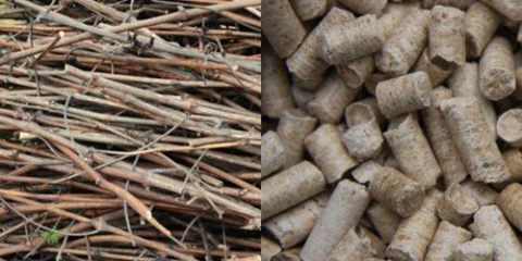 El Proyecto Biomasa-AP estudiará el potencial energético de los residuos biomásicos agroforestales