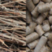 El Proyecto Biomasa-AP estudiará el potencial energético de los residuos biomásicos agroforestales
