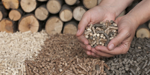 Aragón convoca ayudas para fomentar el Ahorro y la Eficiencia Energética