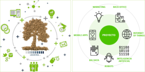 Infografías que muestran las áreas de aplicación de los proyectos que se pueden presentar al concurso Innova Biomasa de Biomasa Forestal.