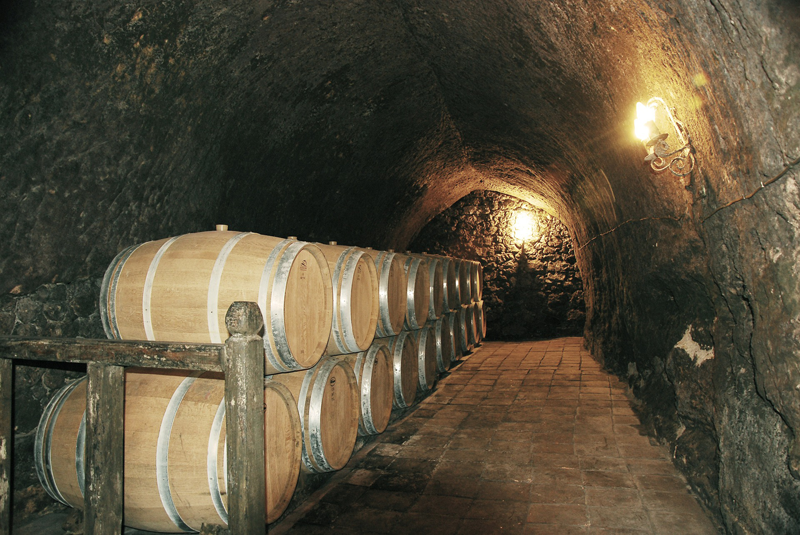 Barriles de vino en una bodega-cueva. 