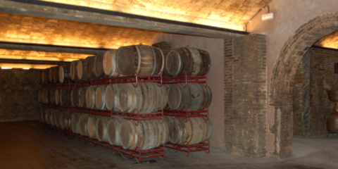 Aprovechar el potencial de la Eficiencia Energética en el sector bodeguero