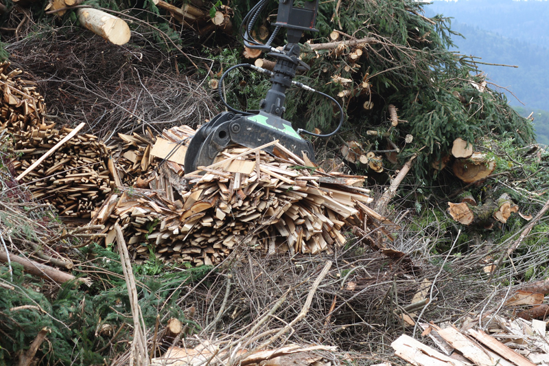 Extracción de restos forestales para aprovechamiento como biomasa.