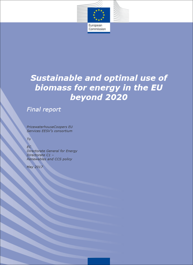 Portada del informe "Uso óptimo y sostenible de la biomasa para energía en la UE después de 2020". 