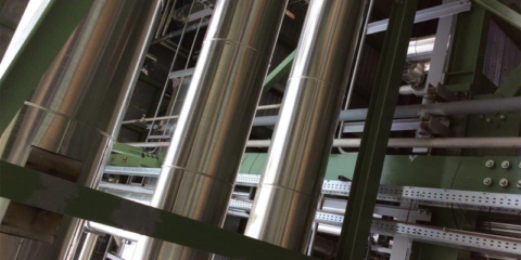 Ence presenta su Decálogo para la Sostenibilidad de la Biomasa como Combustible