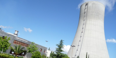 Grupo Ence proyecta construir en Puertollano una planta de generación con biomasa