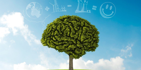 Protocolo para financiar la mejora energética de los centros educativos andaluces