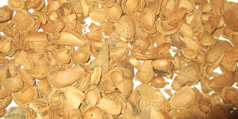 El Proyecto Biomasstep desarrollará una tecnología para medir la calidad de la biomasa