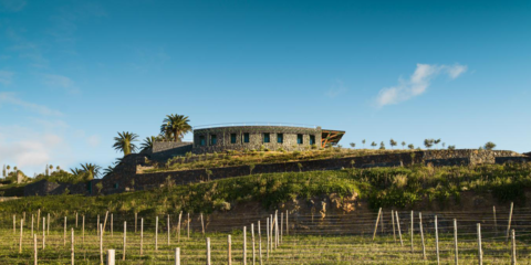 Primera bodega Canary Wine ausofuciente con una instalación fotovoltaica