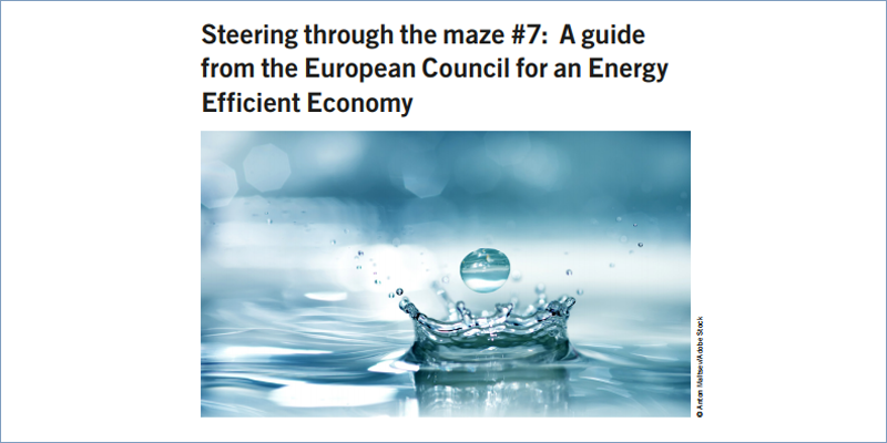 Fragmento de la portada de la guía de Eceeee sobre eficiencia energética en el Winter Package.