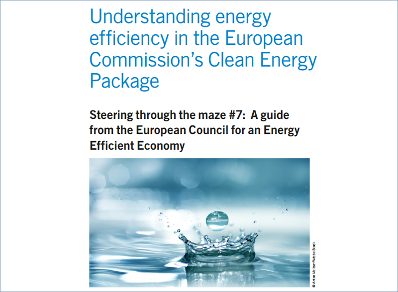 Fragmento de la portada de la guía de Eceeee sobre eficiencia energética en el Winter Package. 