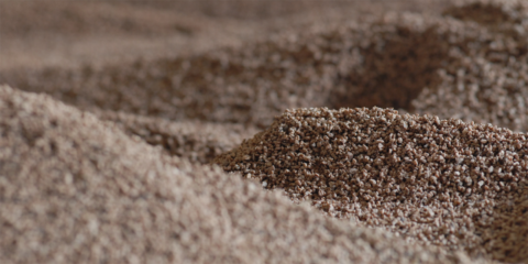 La Biomasa podría abastecer la demanda energética total de Europa durante 41 días