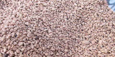 La biomasa producida en Andalucía representa el 25,43% del total nacional, según CLANER