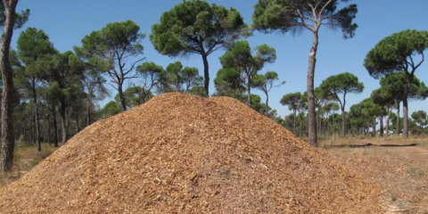Castilla-La Mancha apuesta por la Biomasa en las calderas de los edificios públicos