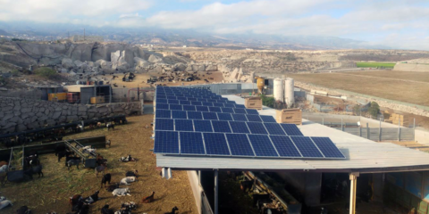Las granjas canarias aisladas de la red eléctrica apuestan por el Autoconsumo Fotovoltaico