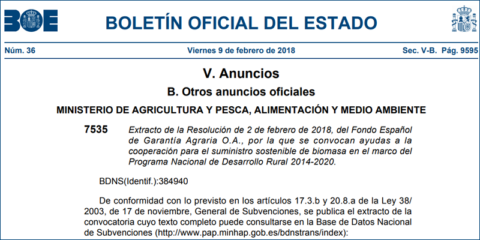 El Gobierno convoca ayudas a la cooperación para el suministro sostenible de Biomasa
