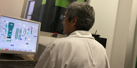 La UEx investiga un proceso de valorización energética de hueso de aceituna libre de emisiones