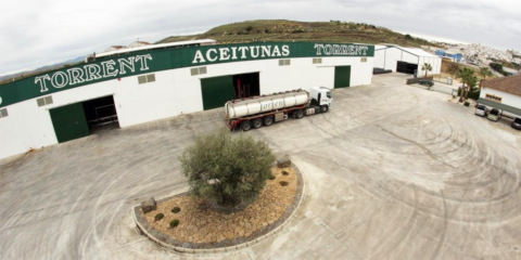 La empresa cordobesa Aceitunas Torrent apuesta por la fotovoltaica para reducir el consumo energético