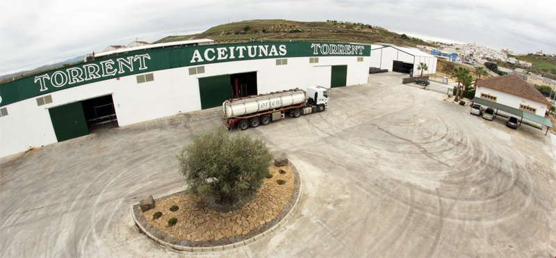 Edificio de Aceitunas Torrent. 