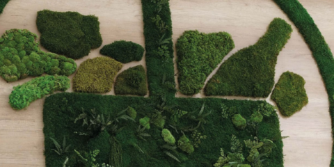 Mercadona reformará en 2018 más de 200 supermercados con el Modelo de Tienda Eficiente