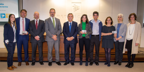 Red Eléctrica entrega los galardones a los mejores proyectos de eficiencia energética de 2017