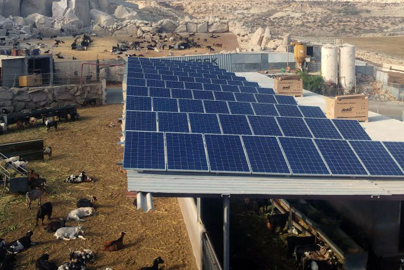 Instalación fotovoltaica de autoconsumo en una granja de Islas Canarias. 