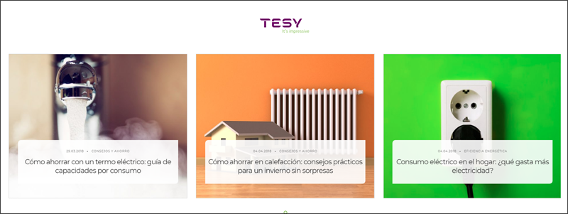 Pantallazo del blog corporativo de TESY.