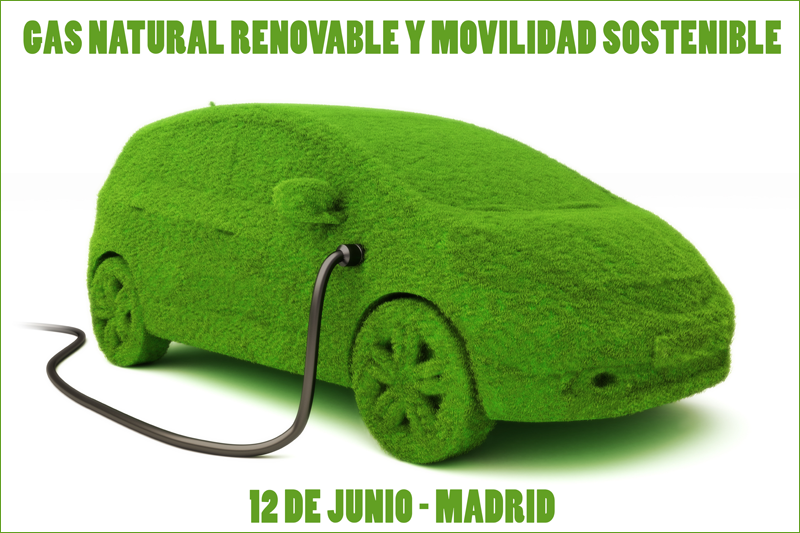 Coche verde. Gas natural renovable. Movilidad sostenible. 