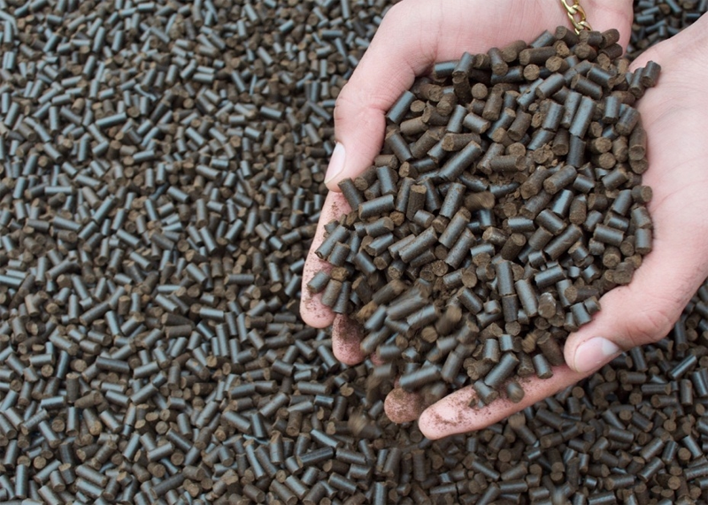 Biomasa en formato "pellet" obtenida a partir de residuos de café. 