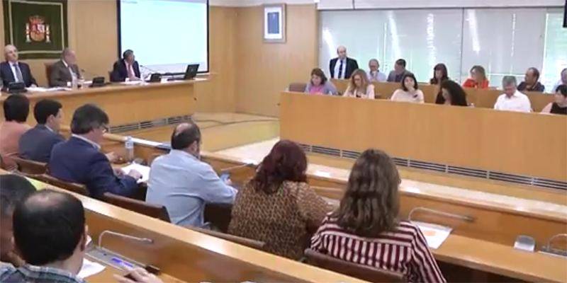 Pleno extraordinario de la Diputación de Sevilla.