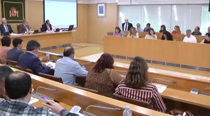 Pleno extraordinario de la Diputación de Sevilla. 