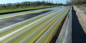 Planta de producción de bioproductos y bioenergía mediante microalgas.