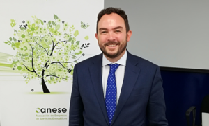 Luis Cabrera, presidente de Anese.