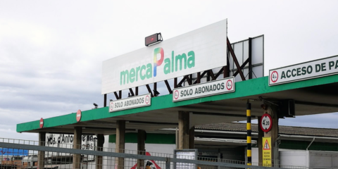 Luz verde a la instalación de autoconsumo en el edificio administrativo de la empresa municipal Mercapalma