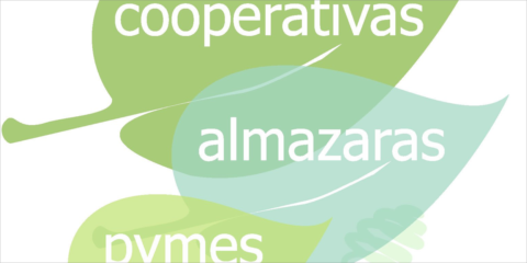 Córdoba concede 200.000 euros para proyectos de ahorro y eficiencia energética de cooperativas y pymes