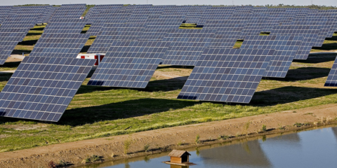 Acciona suministrará energía 100% renovable a Grupo Bosch en la Península Ibérica