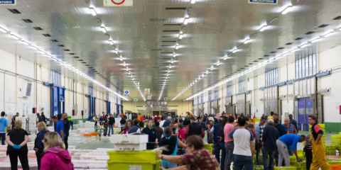 La Lonja de Altura de Vigo ahorrará un 30% en su consumo energético