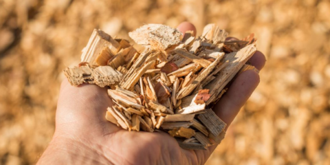 Madrid destina 900.000 euros para facilitar el cambio a calderas de biomasa forestal en los municipios rulares